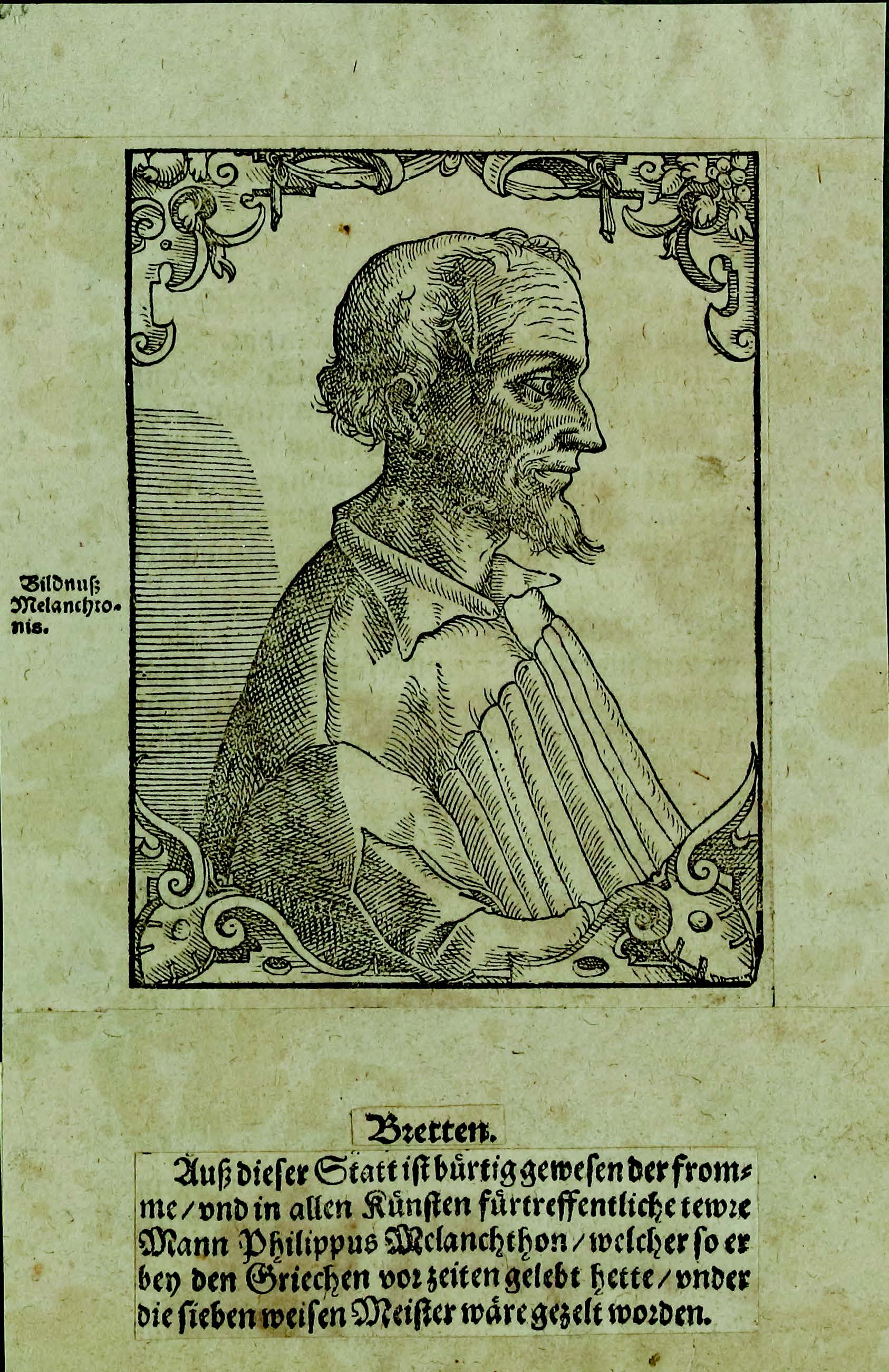 Philipp Melanchthon Porträt